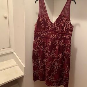 Anthropologie Maroon Dress